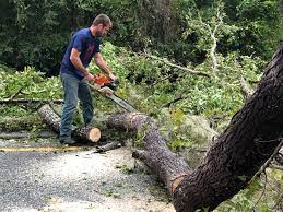 Best Arborist Consultation Services  in Linganore, MD